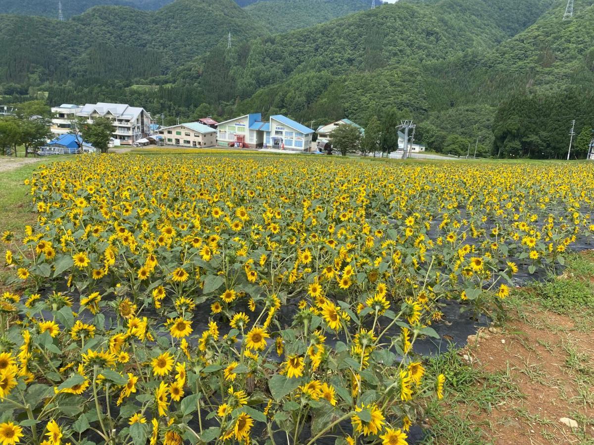 花緑里-Hanamidori-乙原のやど 岐阜下呂温泉郡上飛騨金山湖畔リゾート Ґудзьо Екстер'єр фото